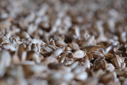 Einstreupellets aus Dinkelspelzen