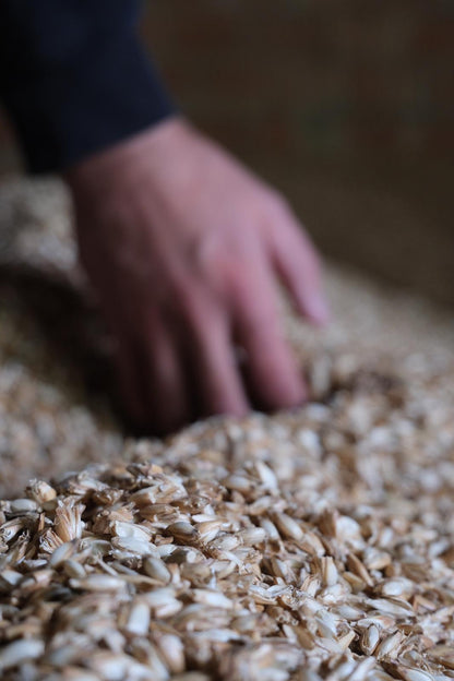 Einstreupellets aus Dinkelspelzen